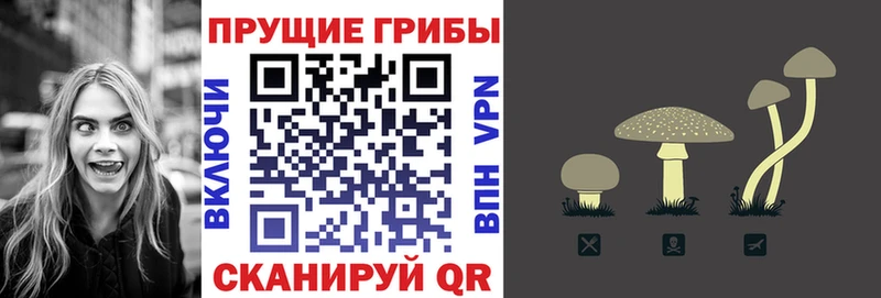 Галлюциногенные грибы GOLDEN TEACHER Петровск-Забайкальский