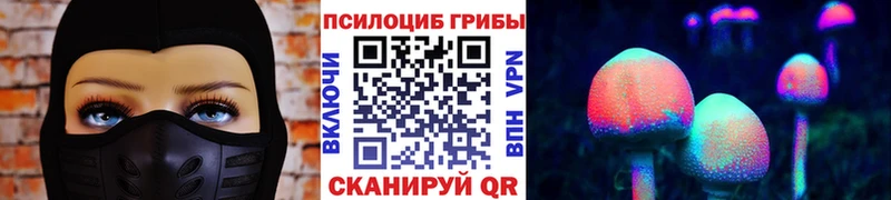 Галлюциногенные грибы Cubensis  Петровск-Забайкальский 